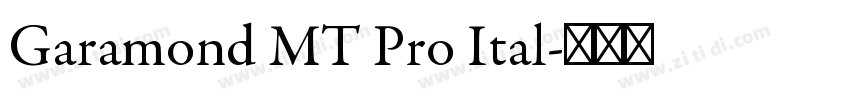 Garamond MT Pro Ital字体转换